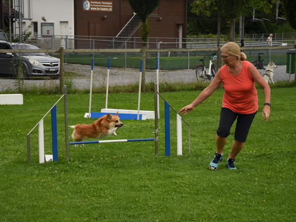 Agility Plauschturnier Augugst 2020 1
