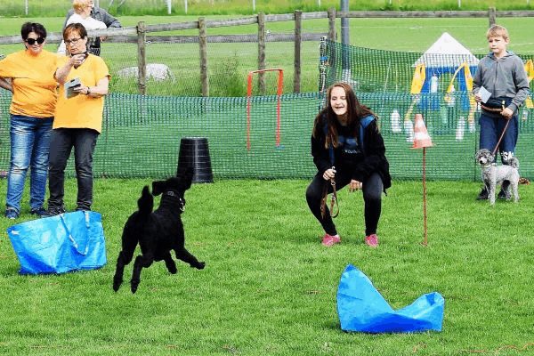 Plauschparcours Frühling 2017 3