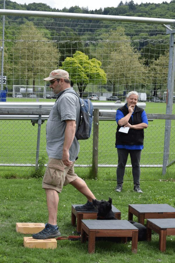 Plauschparcours Frühling 2017 4