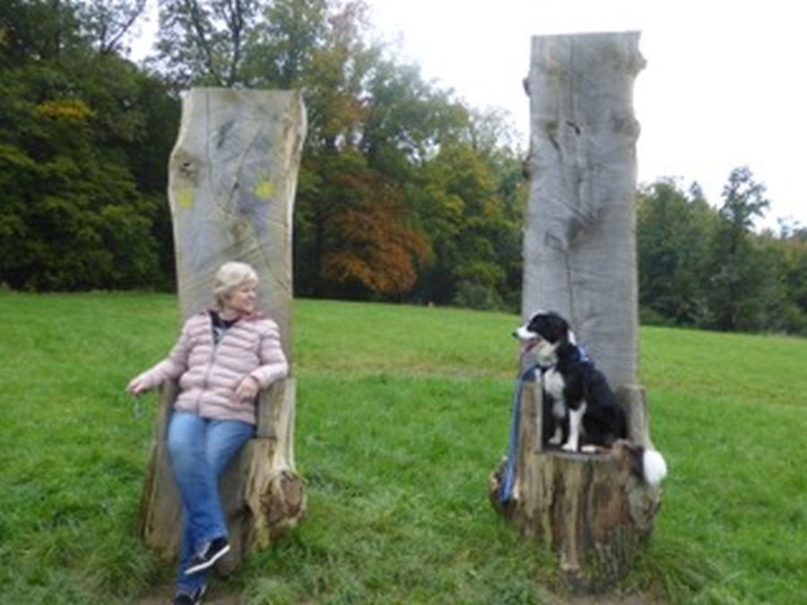 Dogtrail Herbst 2019 2