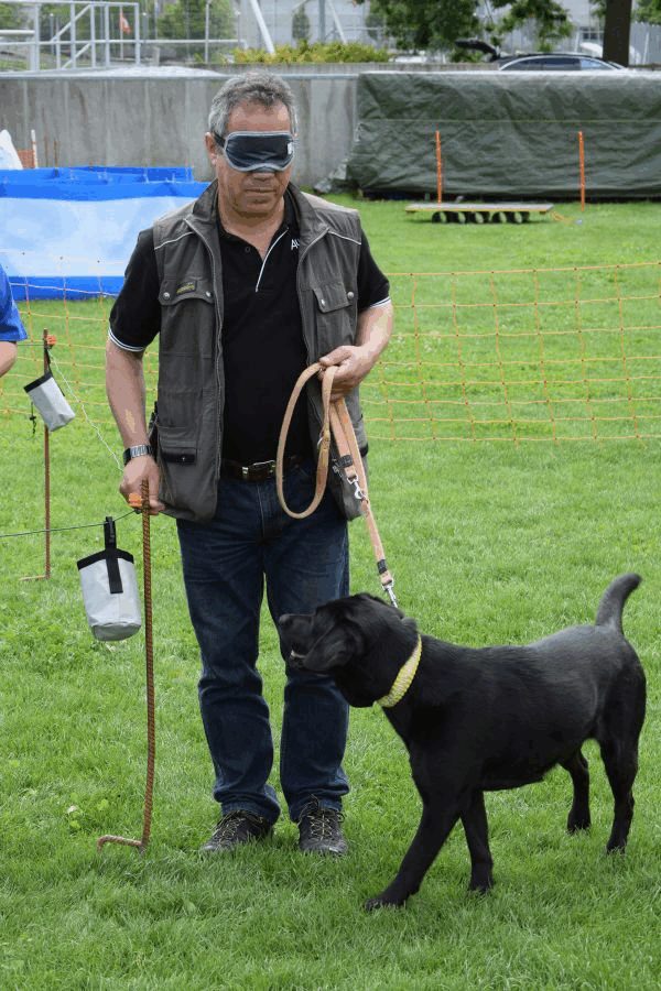 Plauschparcours Frühling 2017 5