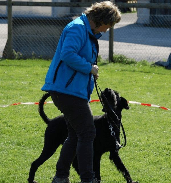 Spartentag 2015 5