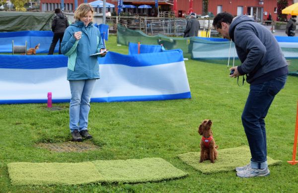Plauschparcours Herbst 2017 5