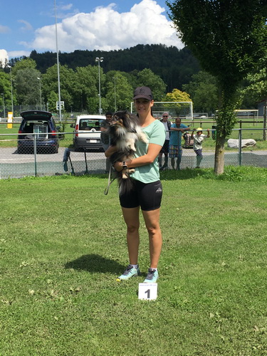 Agility Plauschturnier Juli 2021 1