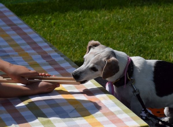 Plauschparcours Frühling 2016 3