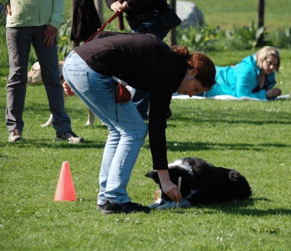 Spartentag 2015 7