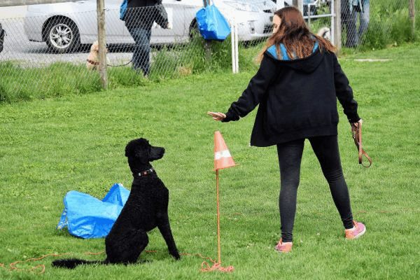 Plauschparcours Frühling 2017 6