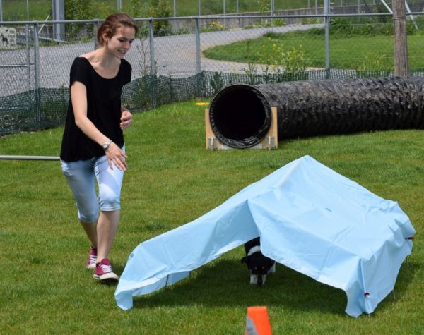 Plauschparcours Frühling 2016 4