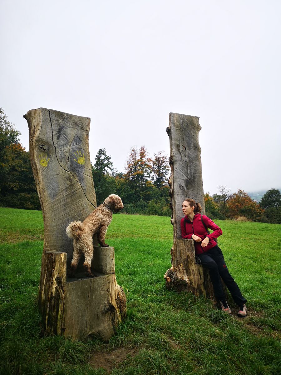 Dogtrail Herbst 2019 4