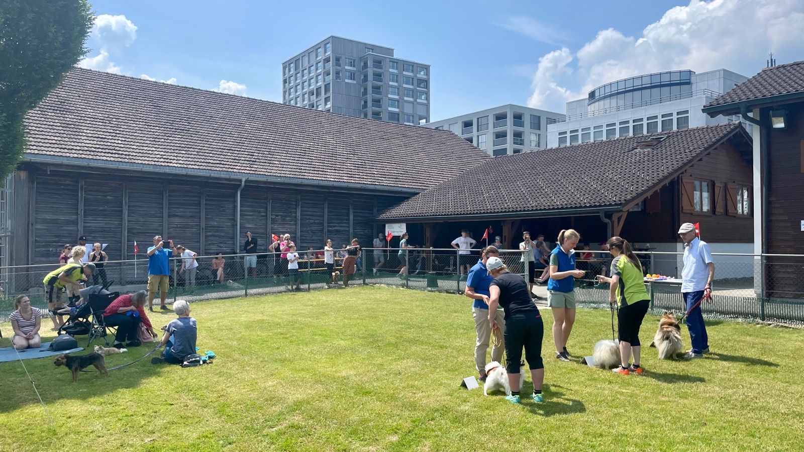 Agility Plauschturnier 2023 1