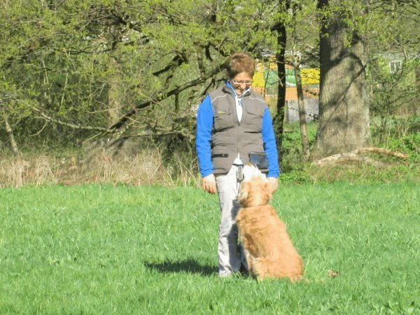 Spartentag 2015 8