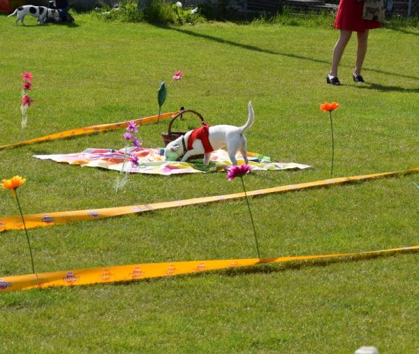 Plauschparcours Frühling 2016 6