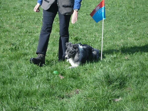 Spartentag 2015 9