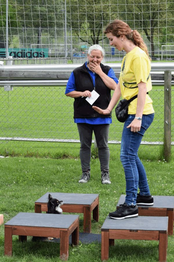 Plauschparcours Frühling 2017 8