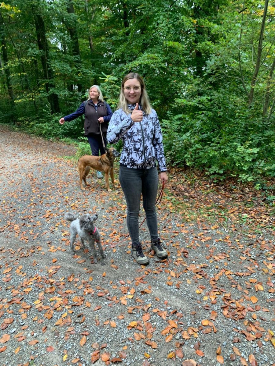 Dogtrail Herbst 2019 5