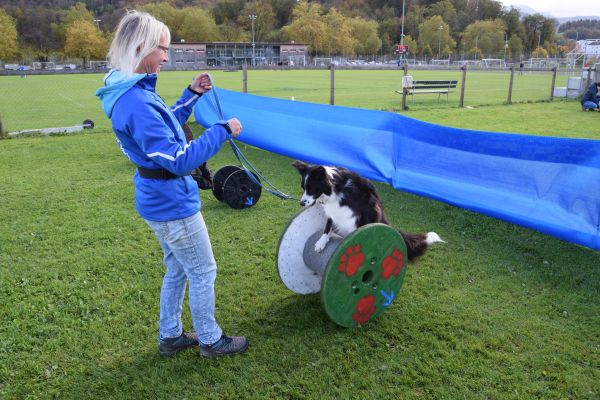 Plauschparcours Herbst 2017 9