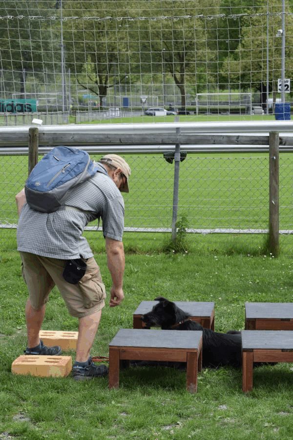Plauschparcours Frühling 2017 11