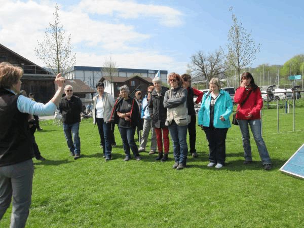 Spartentag 2015 17