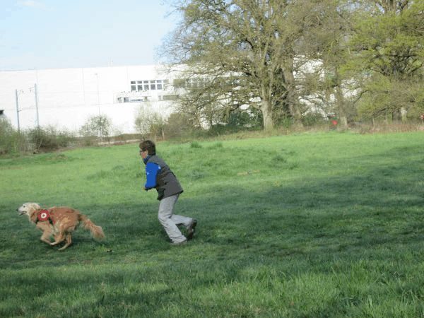 Spartentag 2015 18