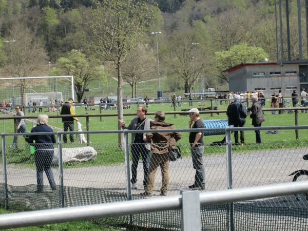 Spartentag 2015 19