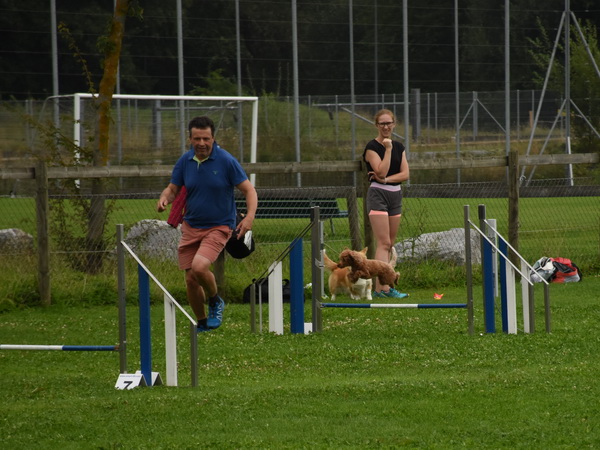 Agility Plauschturnier Augugst 2020 3
