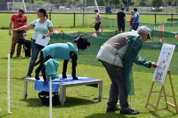 Plauschparcours Frühling 2016 9