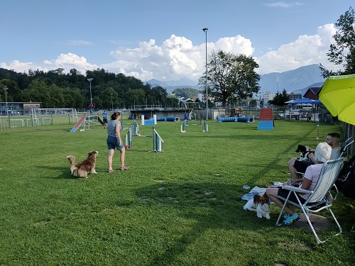 Agility Plauschmeeting September 2021 1