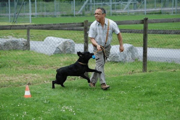 Plauschparcours 2015 4