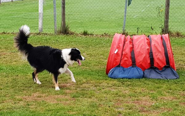 Plauschparcours Herbst 2018 9