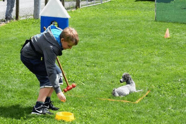 Plauschparcours Frühling 2017 13