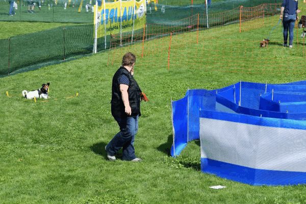 Plauschparcours Frühling 2017 15