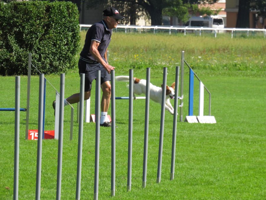 Entdeckertag Allmend 2019 1