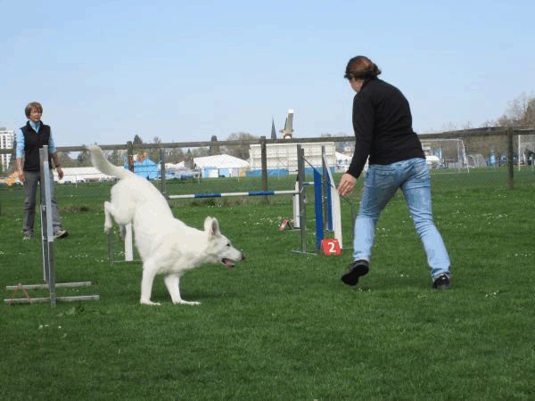 Spartentag 2015 23