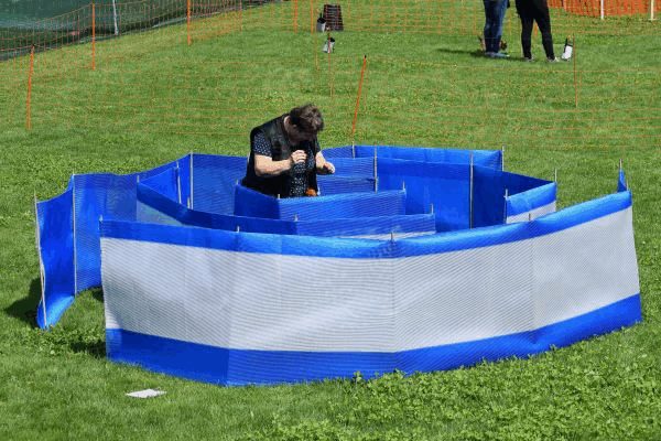 Plauschparcours Frühling 2017 16
