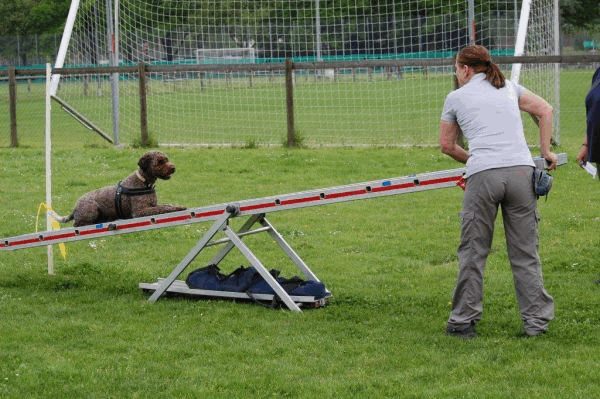Plauschparcours 2015 7