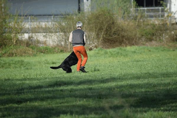 Spartentag 2015 24