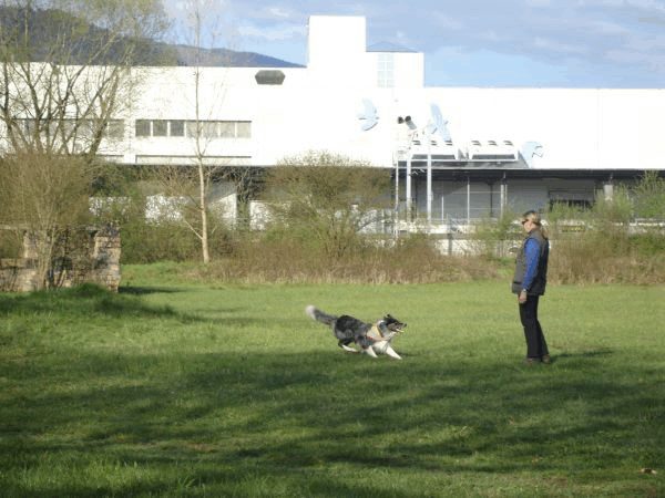Spartentag 2015 25