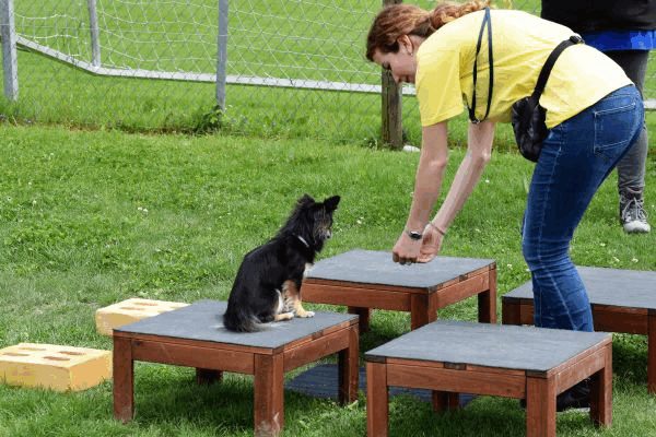 Plauschparcours Frühling 2017 17