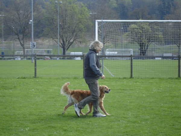 Spartentag 2015 26