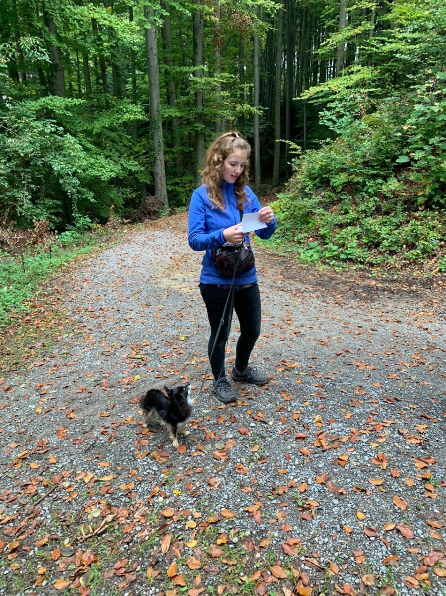 Dogtrail Herbst 2019 10