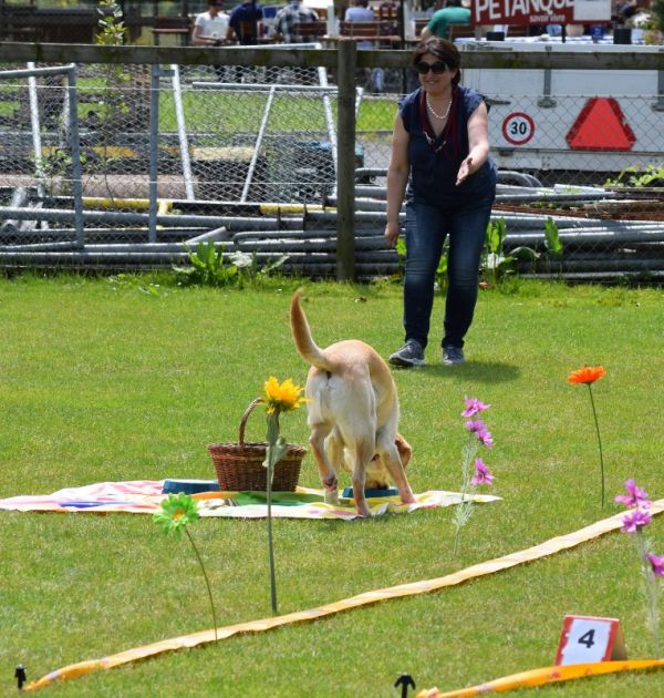 Plauschparcours Frühling 2016 19