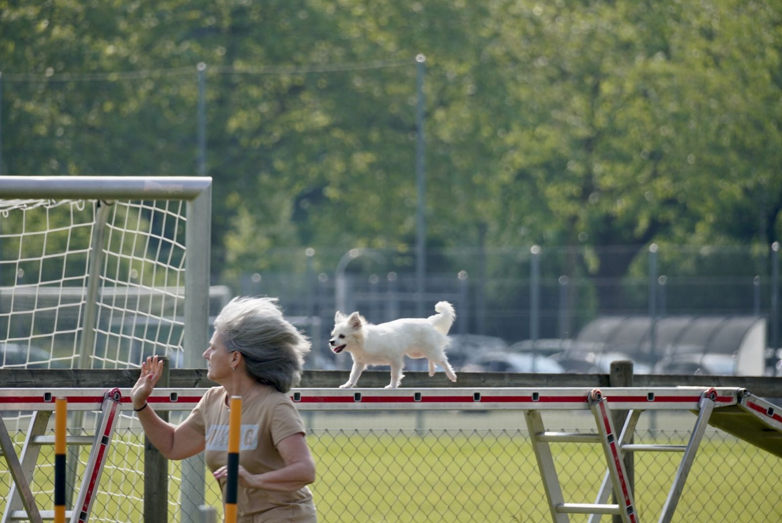 Agility Plauschturnier 2023 3