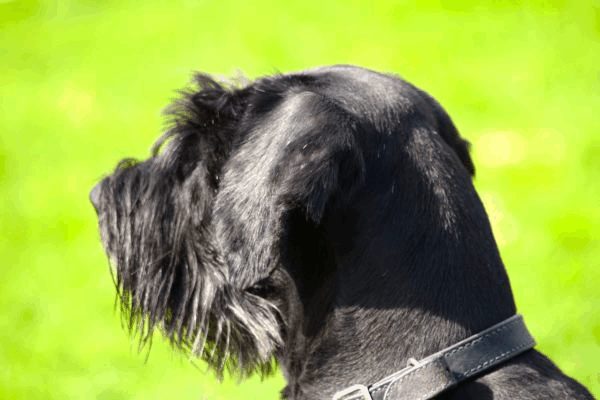 Spartentag 2015 28