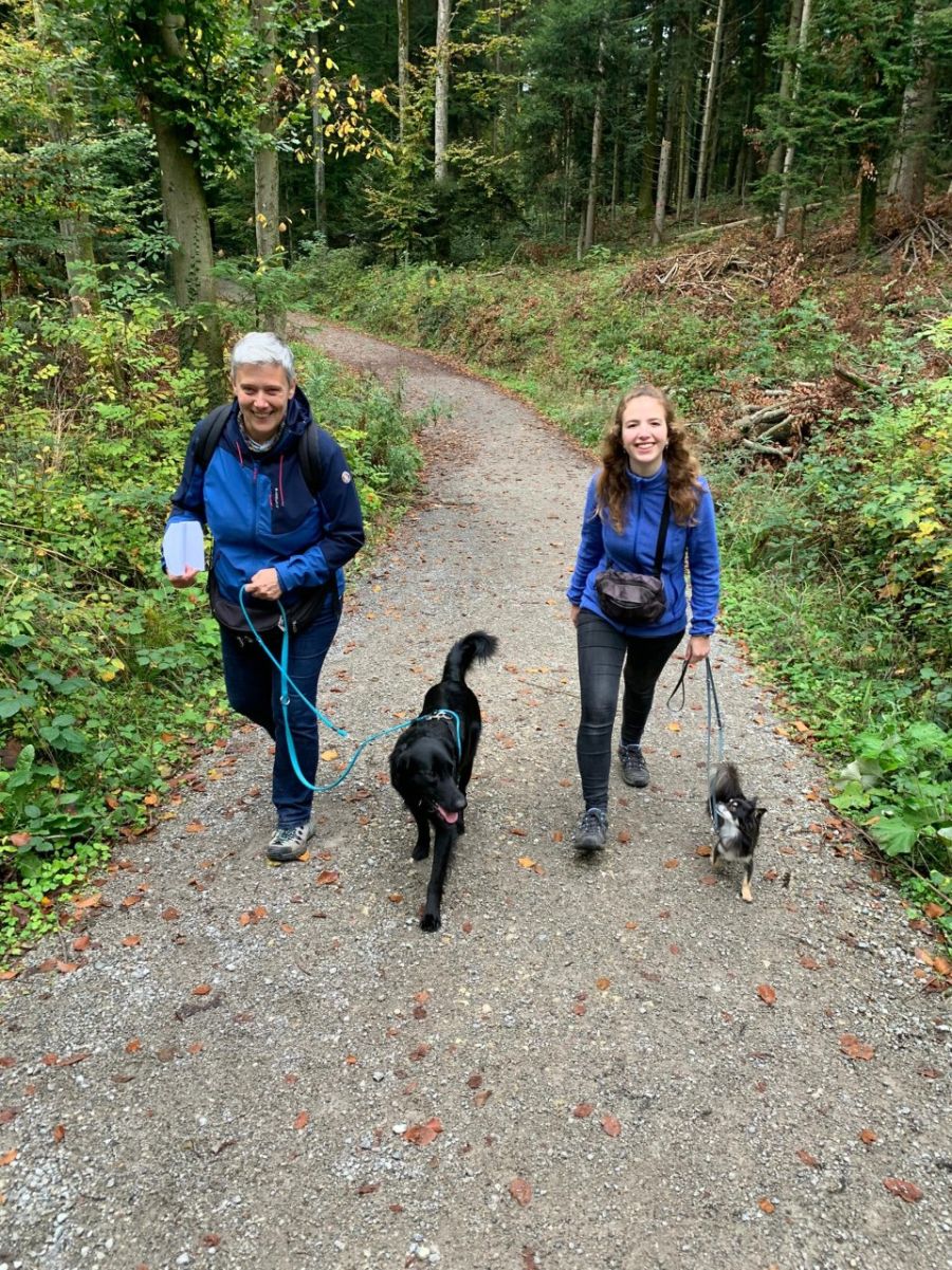 Dogtrail Herbst 2019 11