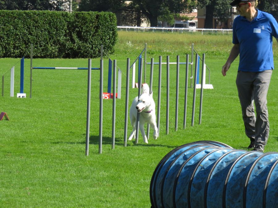 Entdeckertag Allmend 2019 3