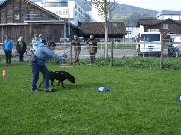 Spartentag 2015 30