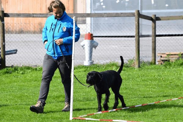 Spartentag 2015 32