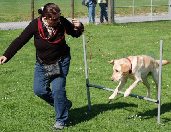 Spartentag 2015 33