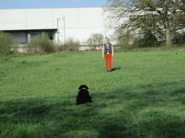 Spartentag 2015 34