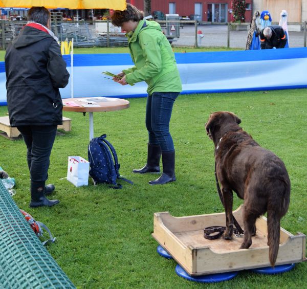 Plauschparcours Herbst 2017 19